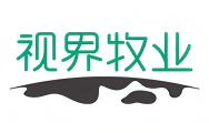 视界集团